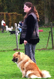 wp4396508b.png