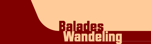 wp81d71509.png