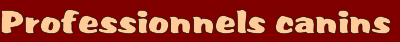 wp906d9d11.png