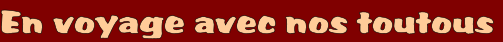 wp9375dd04.png