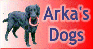 arkasdogs.gif