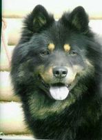 Vulko